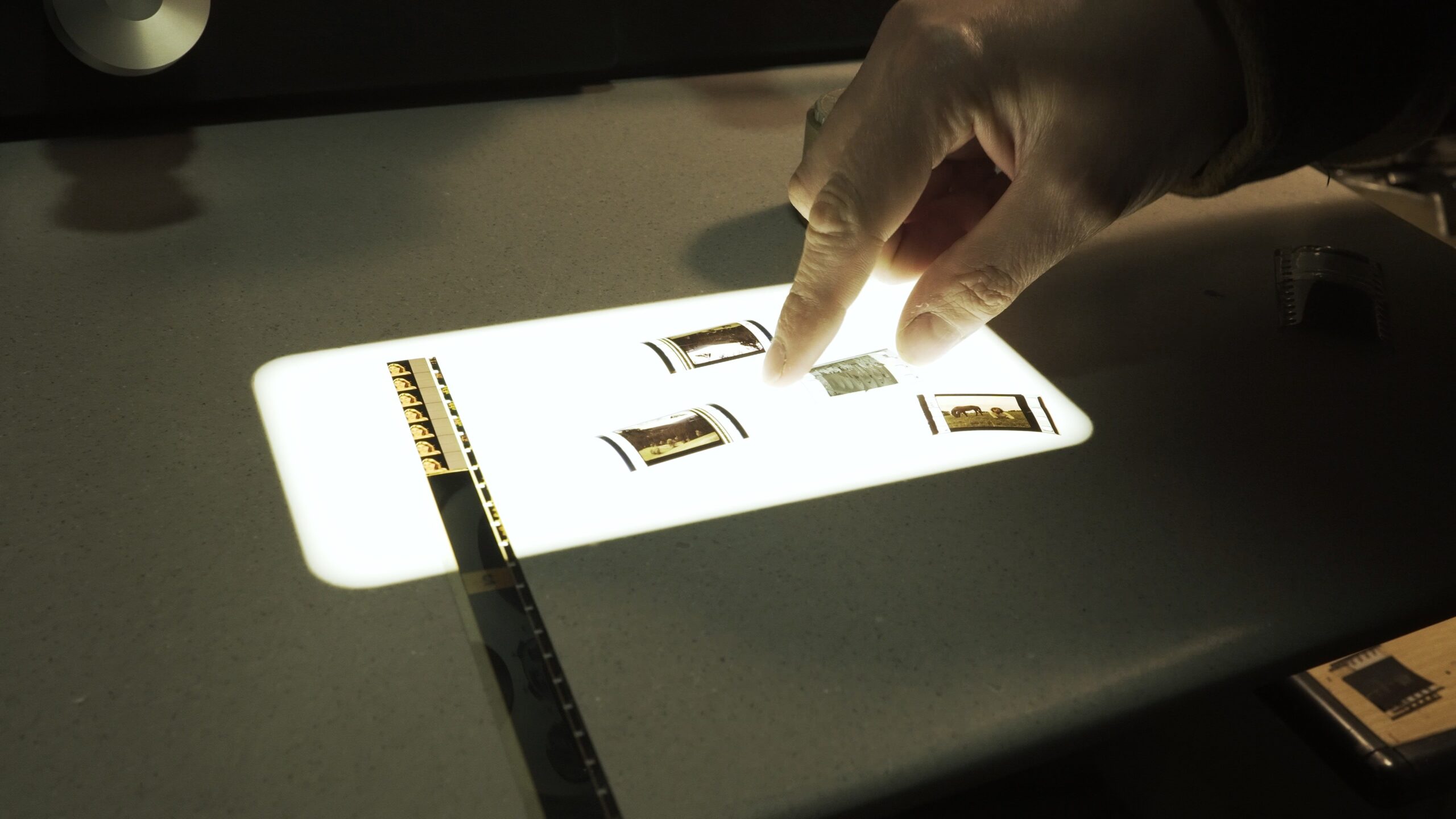 photo | kalyska.archive